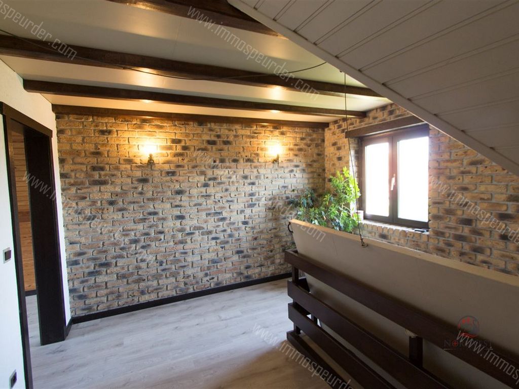 Villa in Zedelgem - 578753 - Loppemsestraat 24a, 8210 Zedelgem