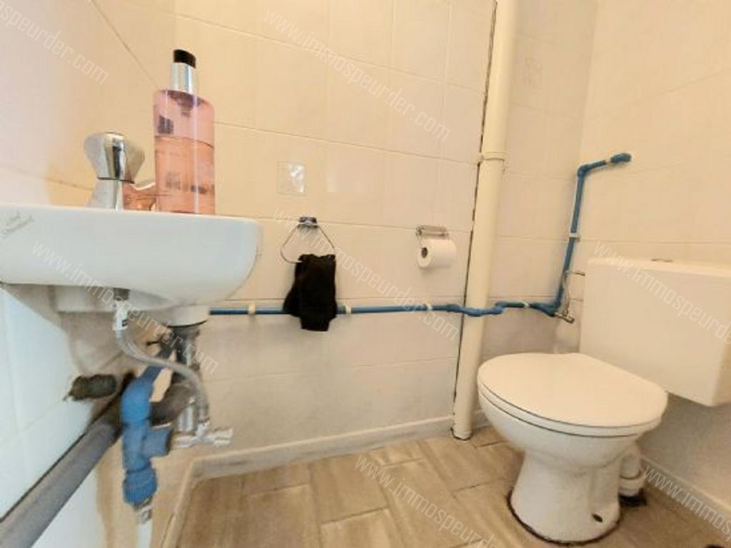 Handelspand in Zedelgem - 524782 - Groenestraat 37, 8210 Zedelgem