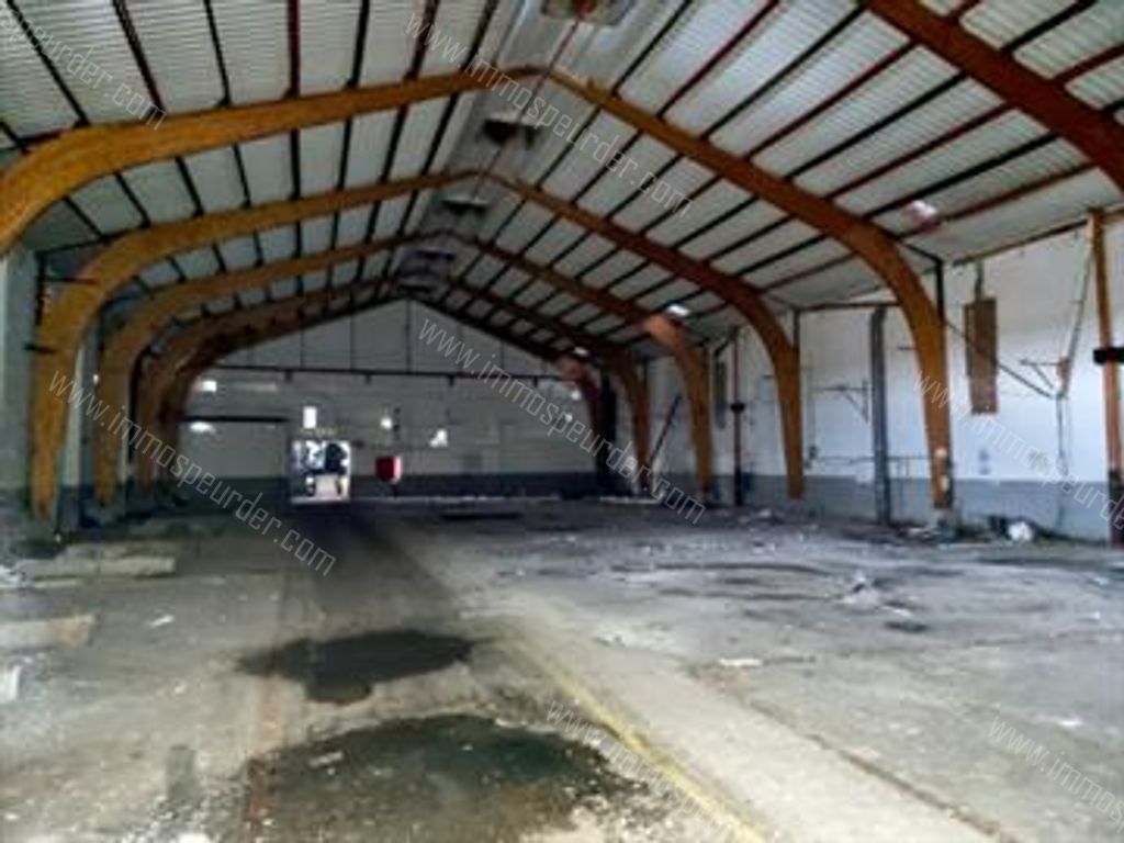 Industrieel in Laarne - 613726 - Lange Meire 56, 9270 Laarne