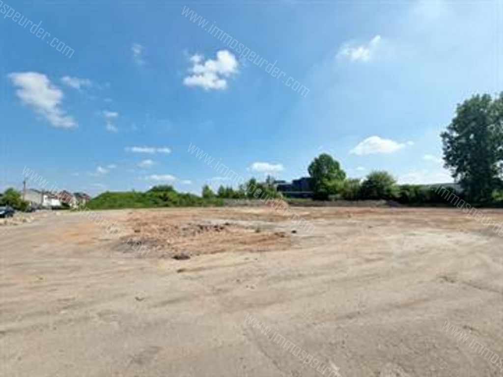 Kantoor in Willebroek - 613720 - Appeldonkstraat 283, 2830 Willebroek