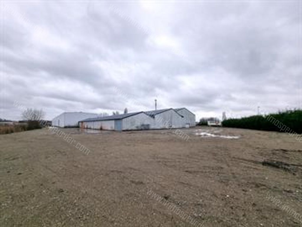 Kantoor in Willebroek - 613722 - Koningin Astridlaan 8, 2830 Willebroek