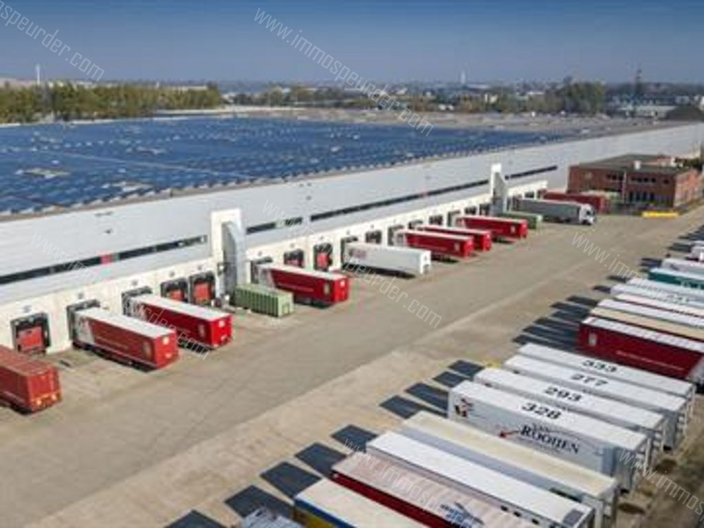 Kantoor in Willebroek - 613730 - Hoeikensstraat 50, 2830 Willebroek
