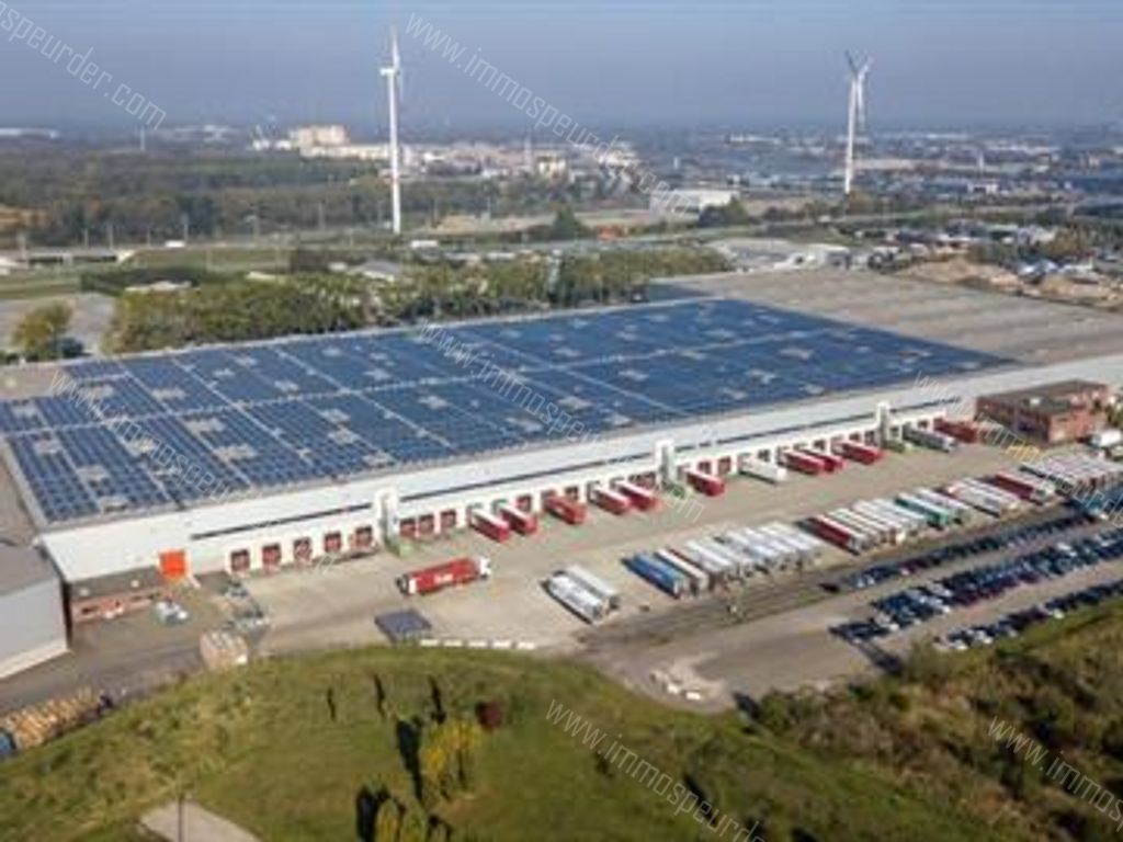 Kantoor in Willebroek - 613730 - Hoeikensstraat 50, 2830 Willebroek