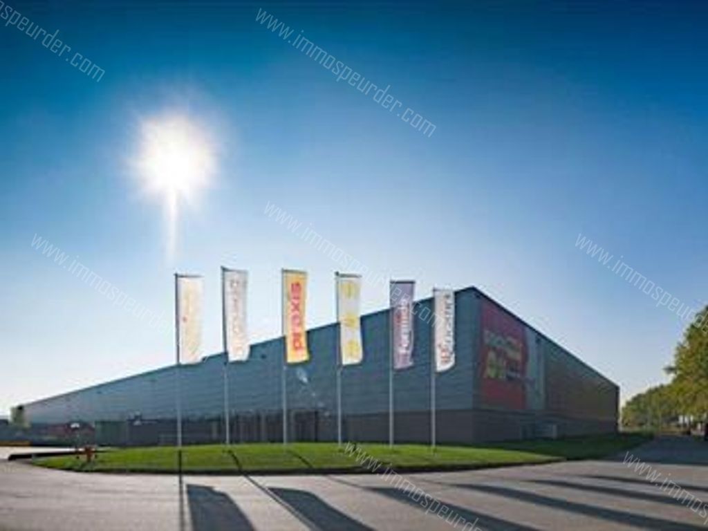 Kantoor in Willebroek - 613730 - Hoeikensstraat 50, 2830 Willebroek