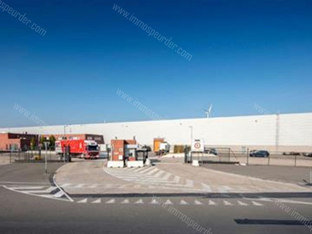Kantoor in Willebroek - 613730 - Hoeikensstraat 50, 2830 Willebroek