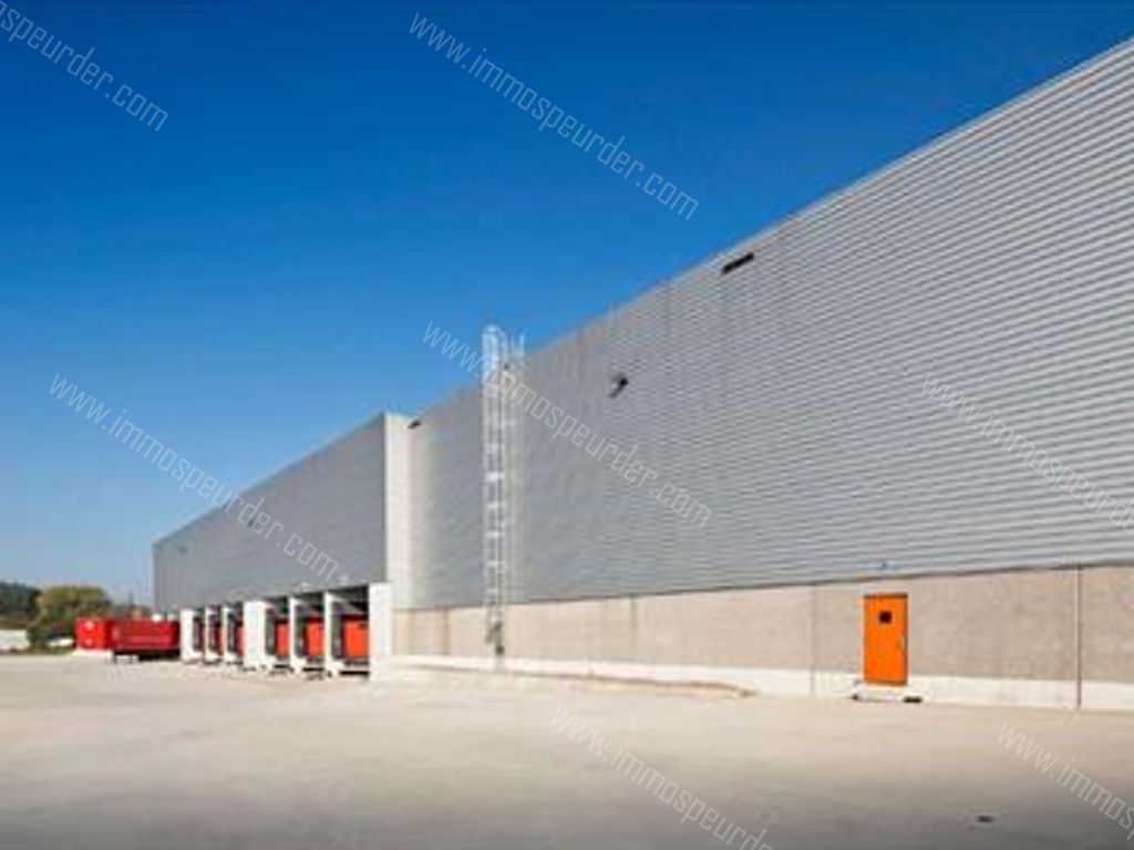 Kantoor in Willebroek - 613730 - Hoeikensstraat 50, 2830 Willebroek