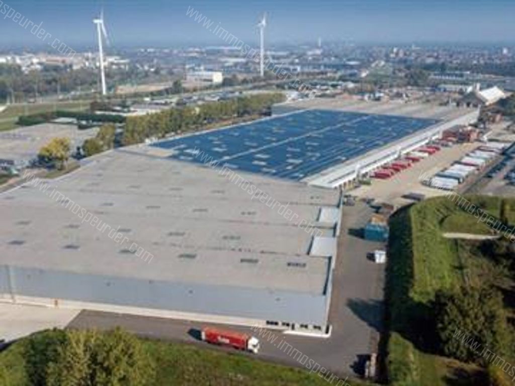 Kantoor in Willebroek - 613730 - Hoeikensstraat 50, 2830 Willebroek