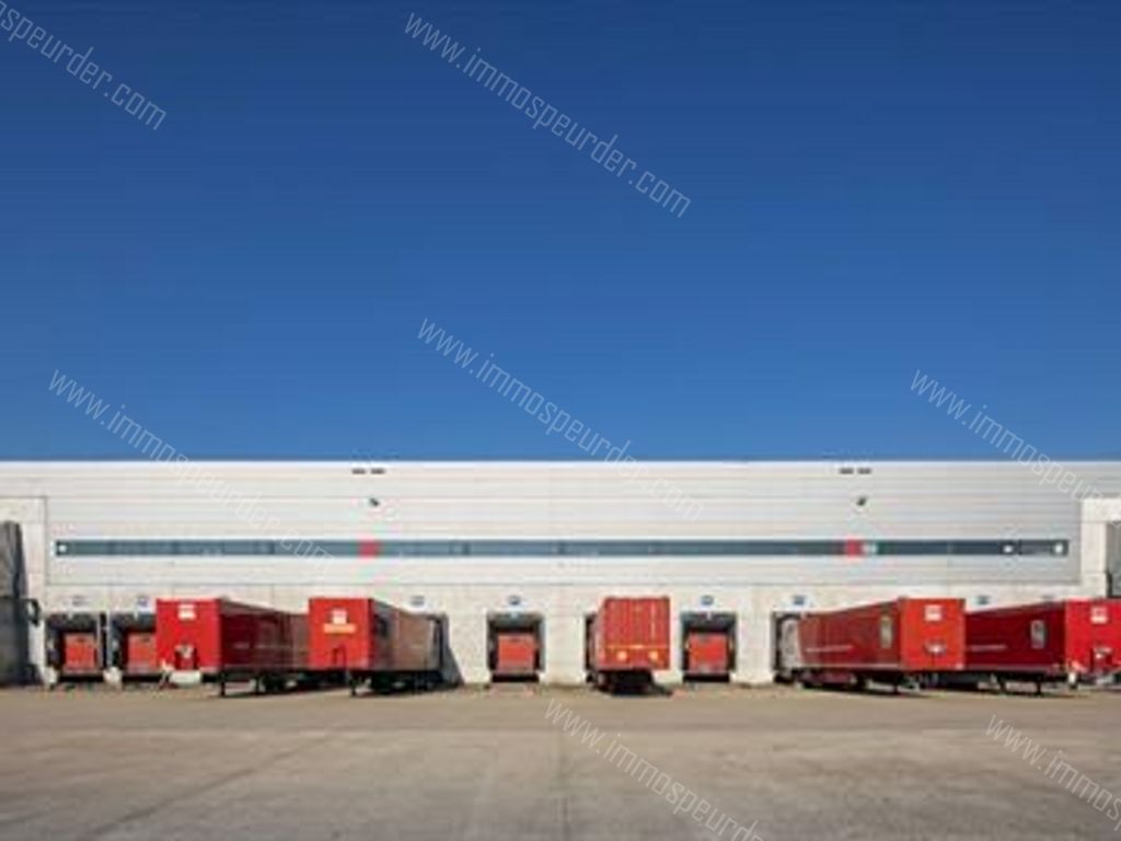 Kantoor in Willebroek - 613730 - Hoeikensstraat 50, 2830 Willebroek