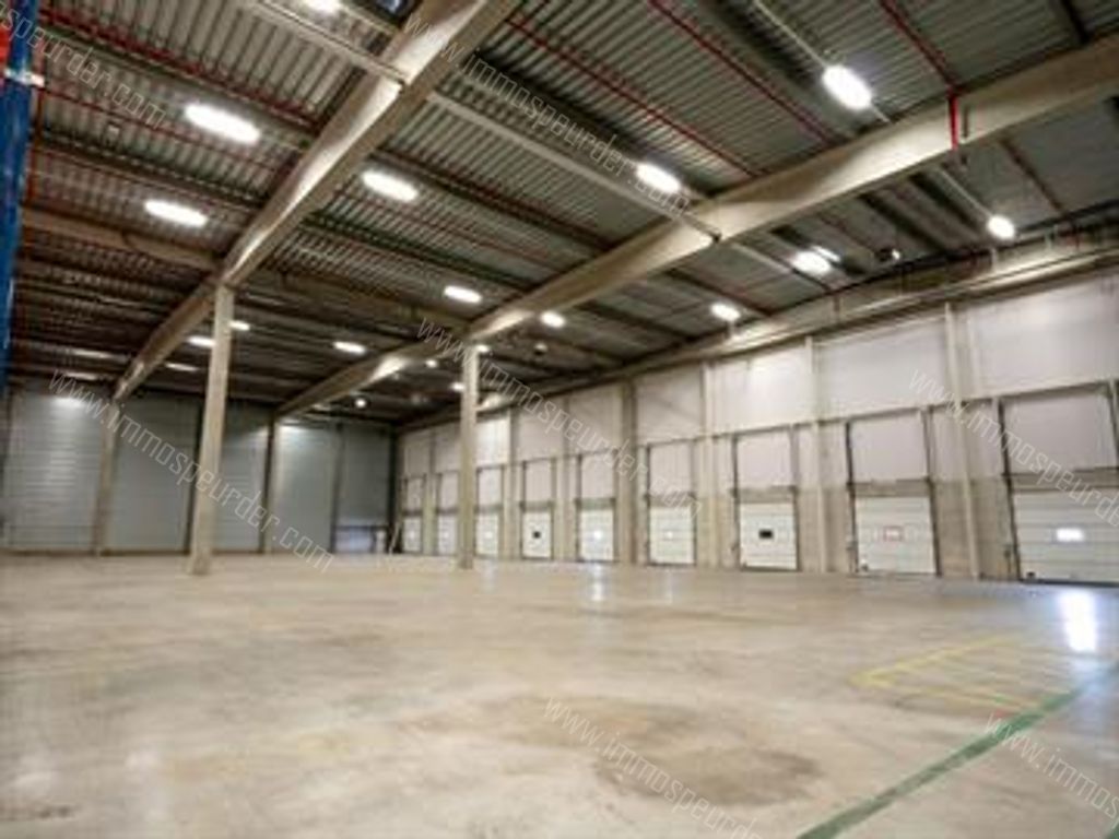 Kantoor in Willebroek - 613782 - Victor Dumonlaan 4, 2830 Willebroek