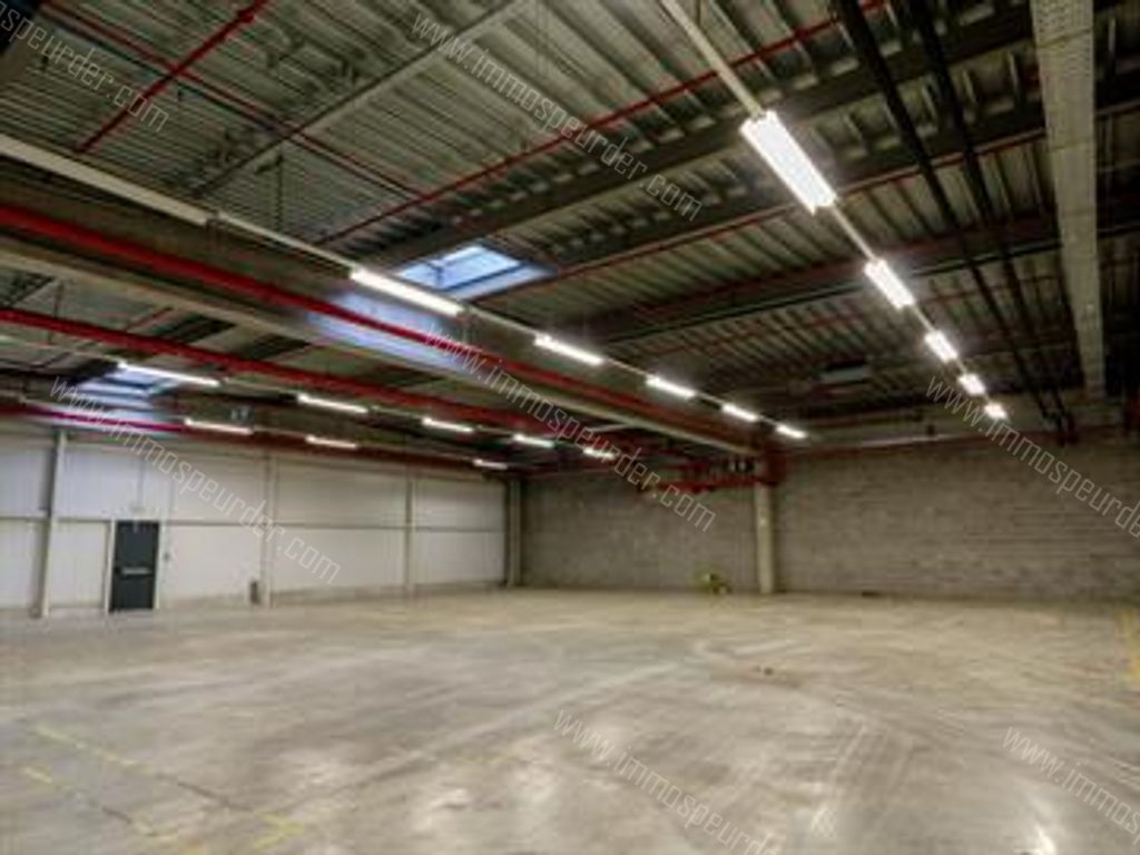 Kantoor in Willebroek - 613782 - Victor Dumonlaan 4, 2830 Willebroek