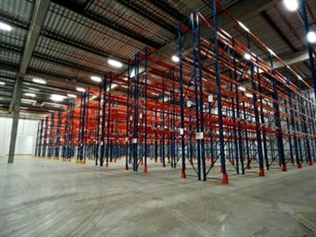 Kantoor in Willebroek - 613782 - Victor Dumonlaan 4, 2830 Willebroek