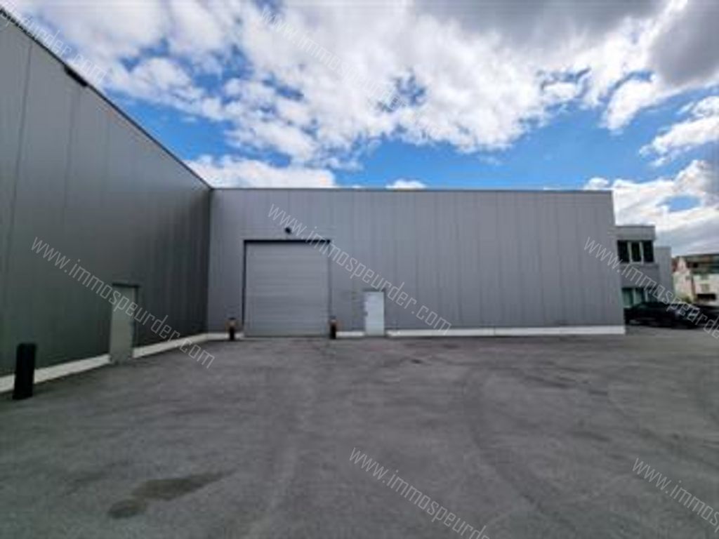 Industrieel in Willebroek - 635262 - Brownfieldlaan 33-bus-003, 2830 Willebroek