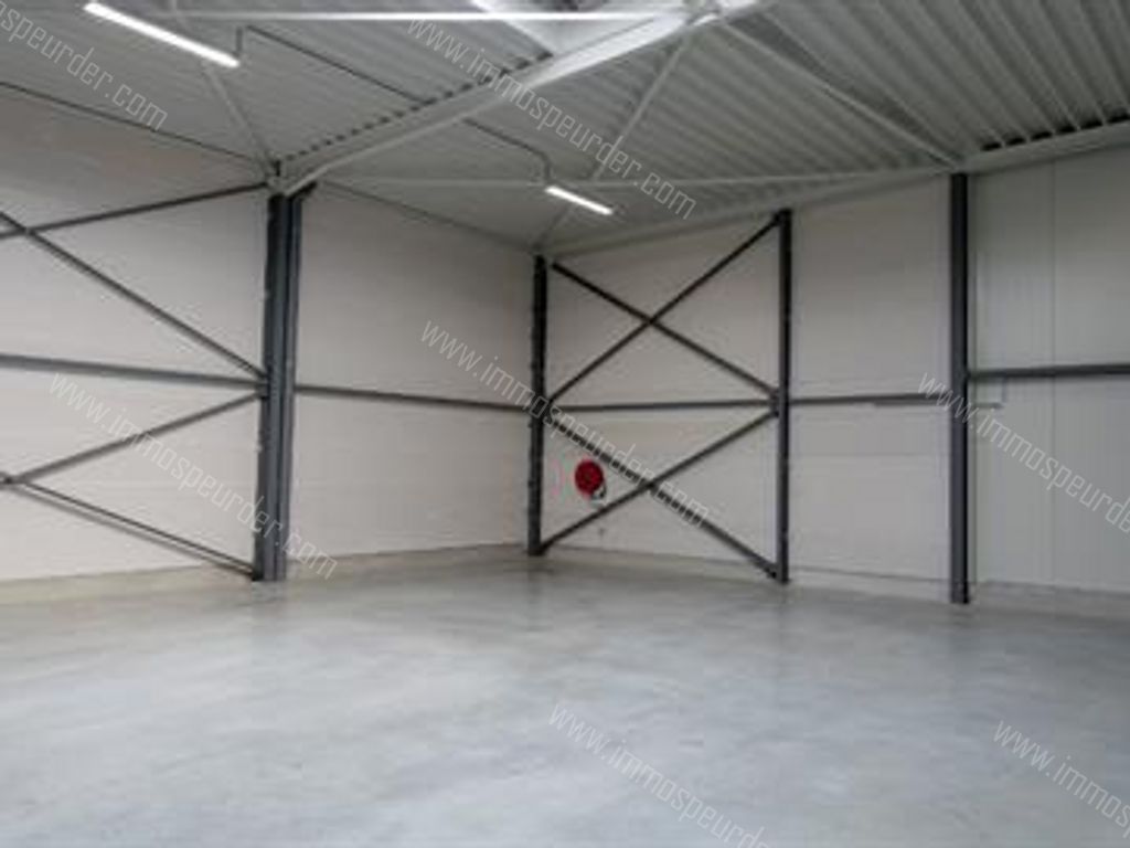 Industrieel in Willebroek - 635262 - Brownfieldlaan 33-bus-003, 2830 Willebroek