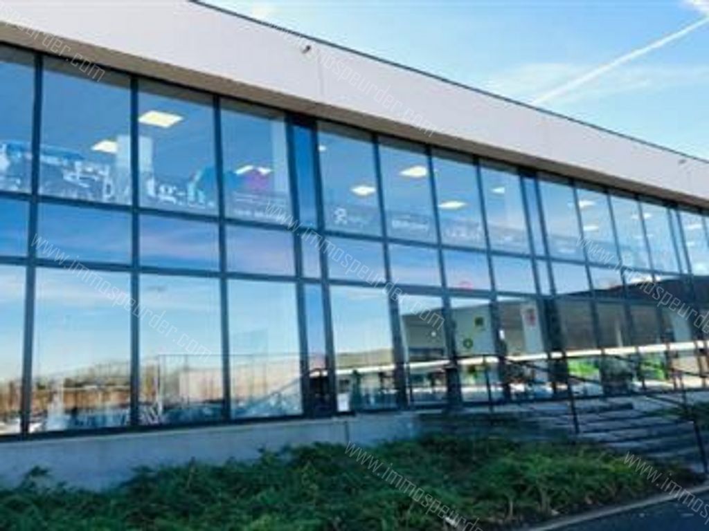 Kantoor in Willebroek - 969059 - Schoondonkweg 6, 2830 Willebroek
