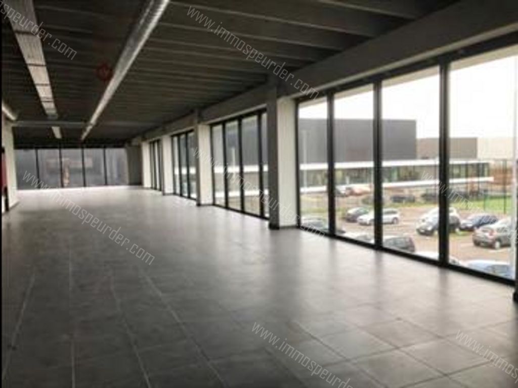 Kantoor in Willebroek - 969059 - Schoondonkweg 6, 2830 Willebroek