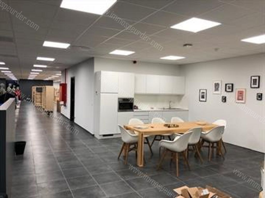 Kantoor in Willebroek - 969059 - Schoondonkweg 6, 2830 Willebroek
