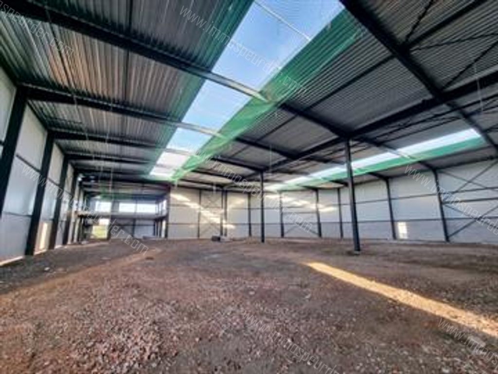Kantoor in Willebroek - 613720 - Appeldonkstraat 283, 2830 Willebroek