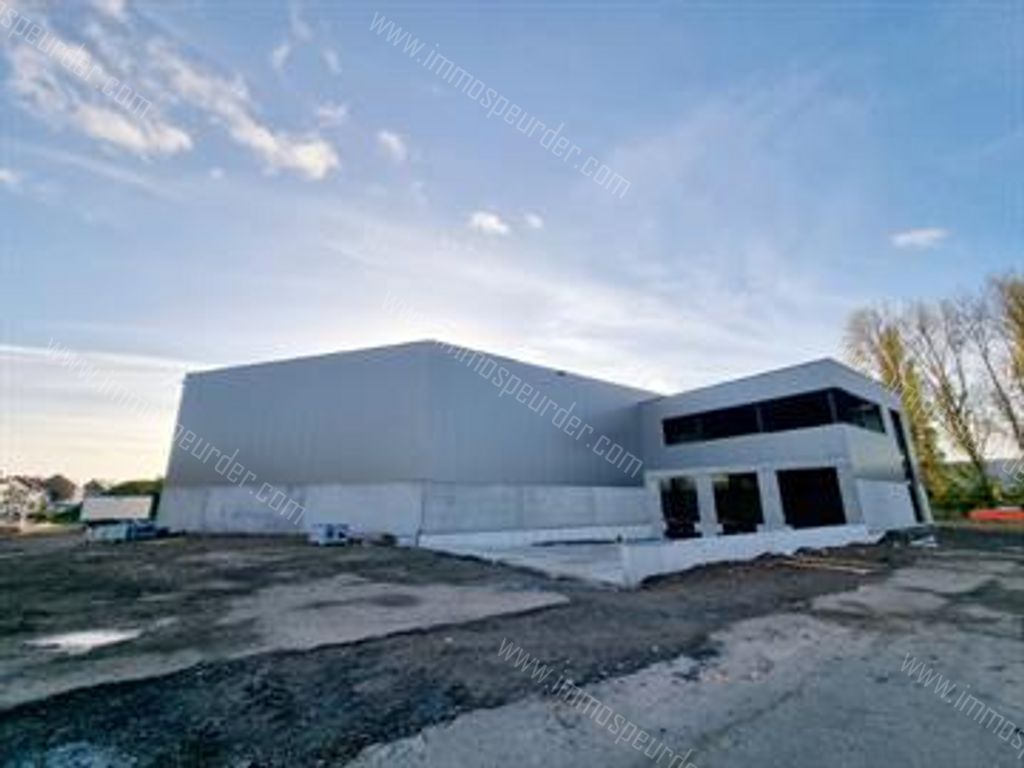 Kantoor in Willebroek - 613720 - Appeldonkstraat 283, 2830 Willebroek