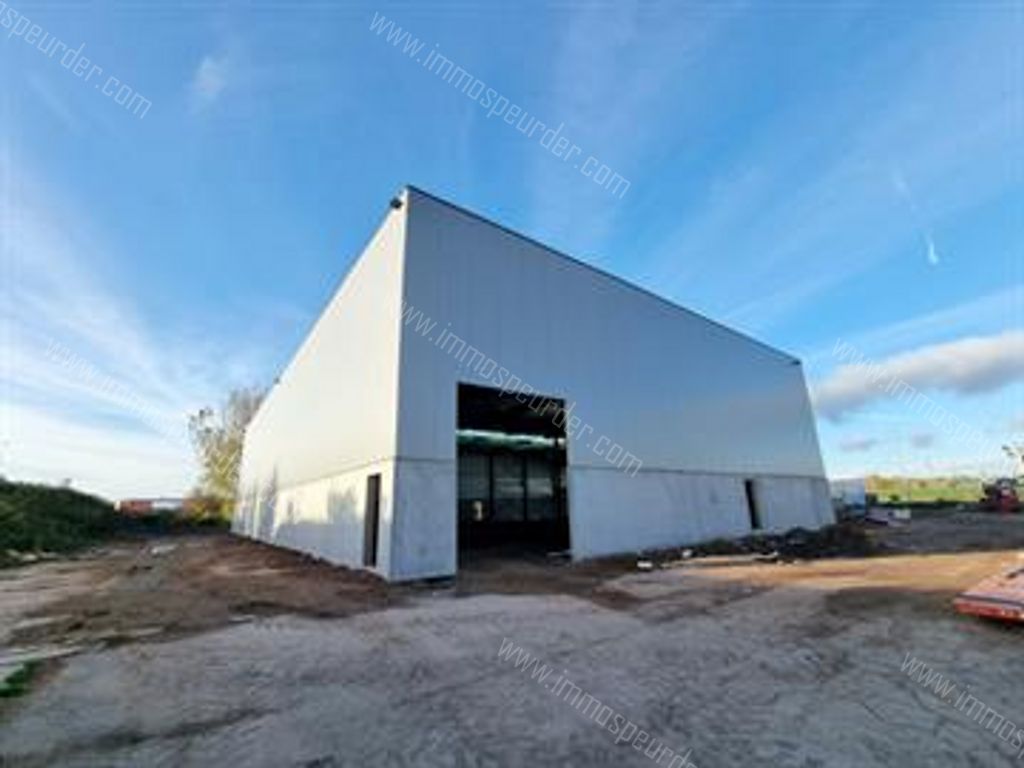 Kantoor in Willebroek - 613720 - Appeldonkstraat 283, 2830 Willebroek