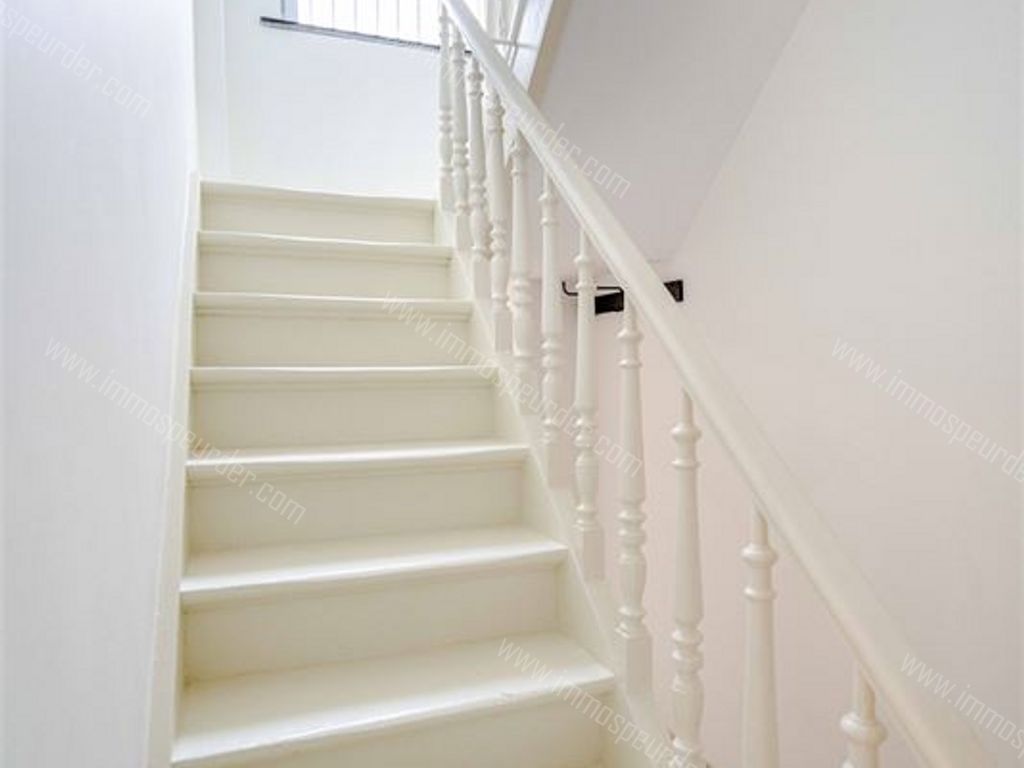 Huis in Dilbeek - 946993 - Ninoofsesteenweg 241, 1700 DILBEEK