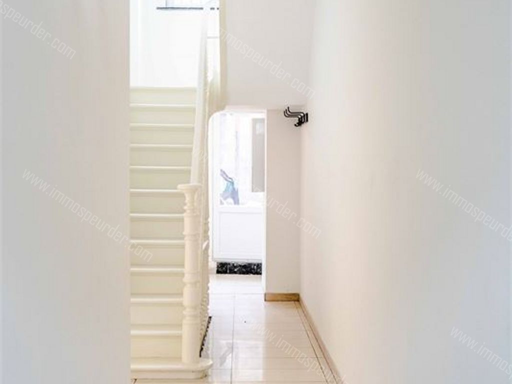 Huis in Dilbeek - 946993 - Ninoofsesteenweg 241, 1700 DILBEEK