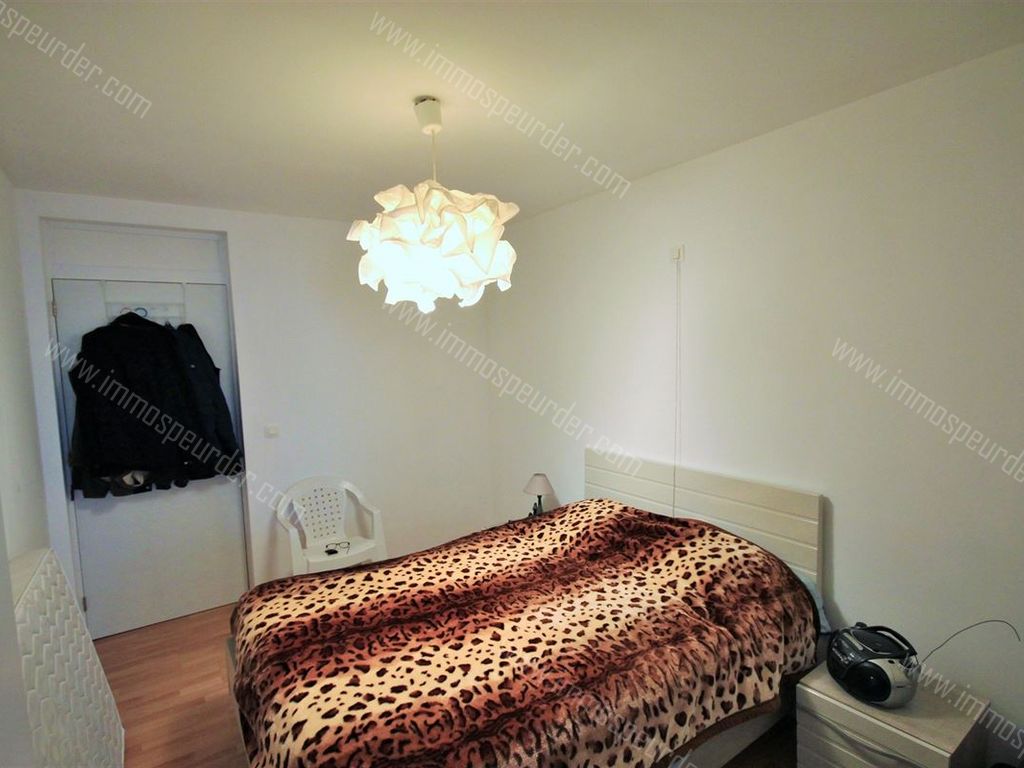 Villa in Roly - 1031126 - Place de Roly 6, 5600 ROLY