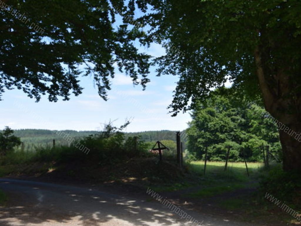 Terrain à Vendre Gouvy