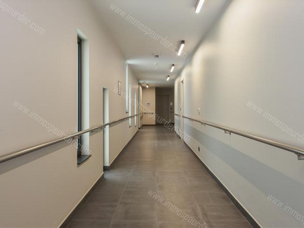 Huis in Dilbeek - 474165 - d'Arconatistraat 77, 1700 Dilbeek