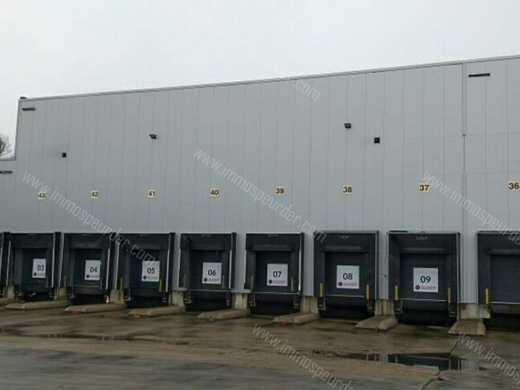 Kantoor in Willebroek - 13672 - Victor Dumonlaan 4, 2830 Willebroek