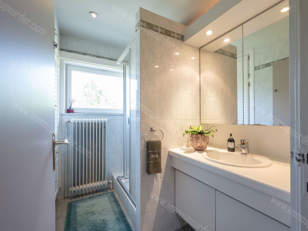 Villa in Zedelgem - 629617 - Torhoutsesteenweg 268, 8210 Zedelgem