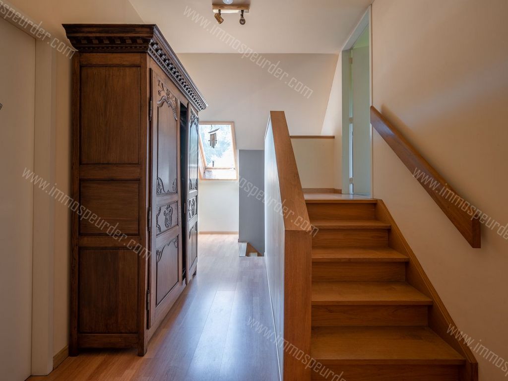 Villa in Zedelgem - 629617 - Torhoutsesteenweg 268, 8210 Zedelgem