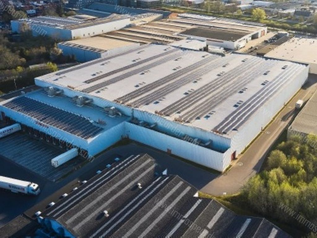 Handelspand in Aalst - 97712 - Tragel , 9300 Aalst