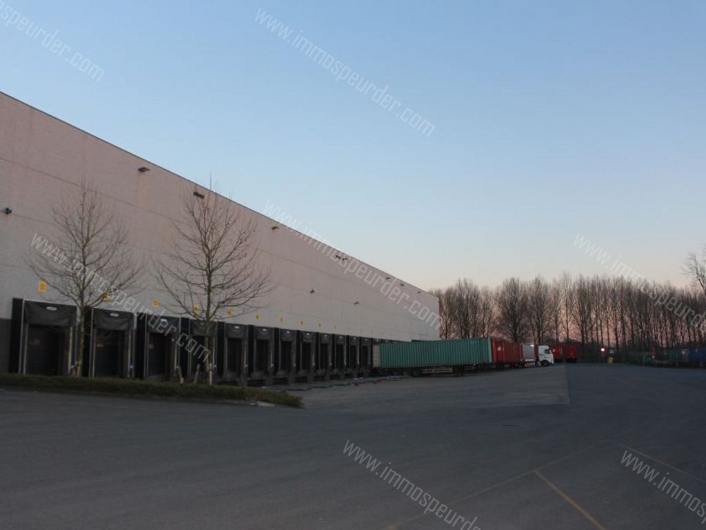 Kantoor in Willebroek - 57494 - Victor Dumonlaan 30, 2830 Willebroek