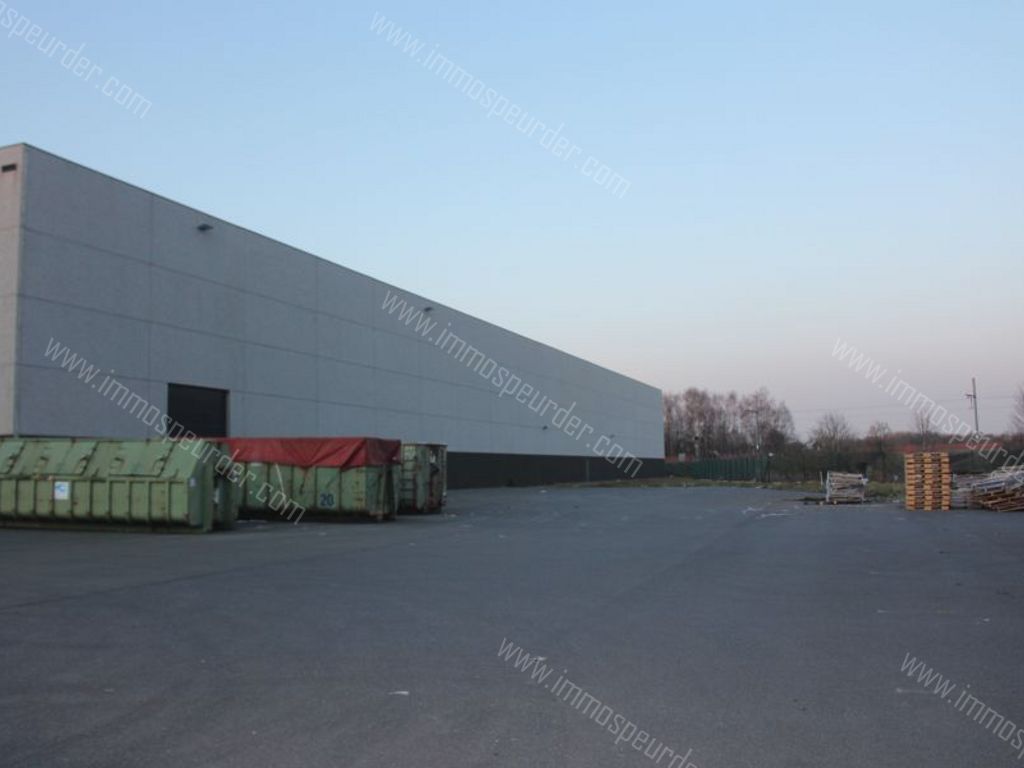 Kantoor in Willebroek - 57494 - Victor Dumonlaan 30, 2830 Willebroek