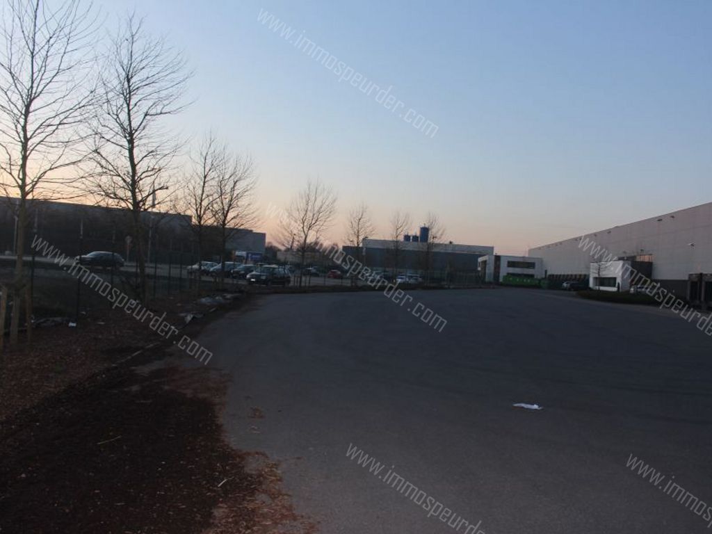 Kantoor in Willebroek - 57494 - Victor Dumonlaan 30, 2830 Willebroek