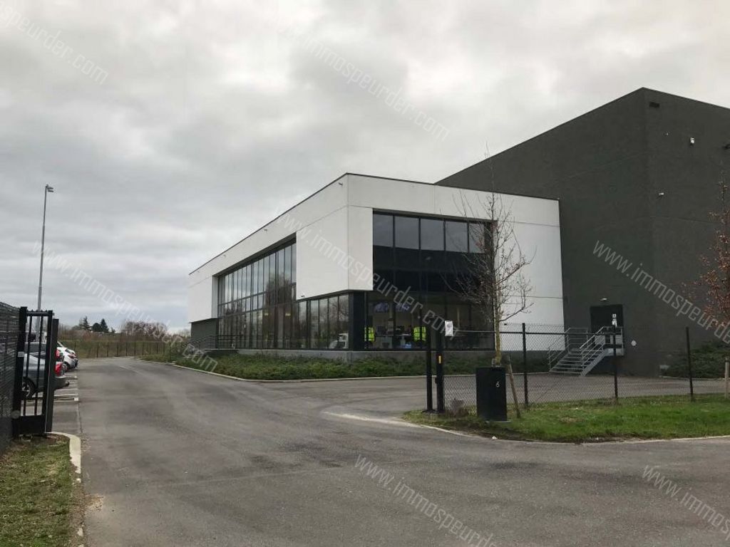 Kantoor in Willebroek - 203518 - Schoondonkweg 6, 2830 Willebroek