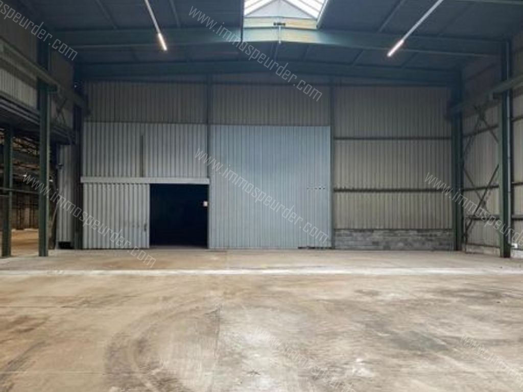 Industrieel in Willebroek - 215081 - Koningin Astridlaan 10, 2830 Willebroek