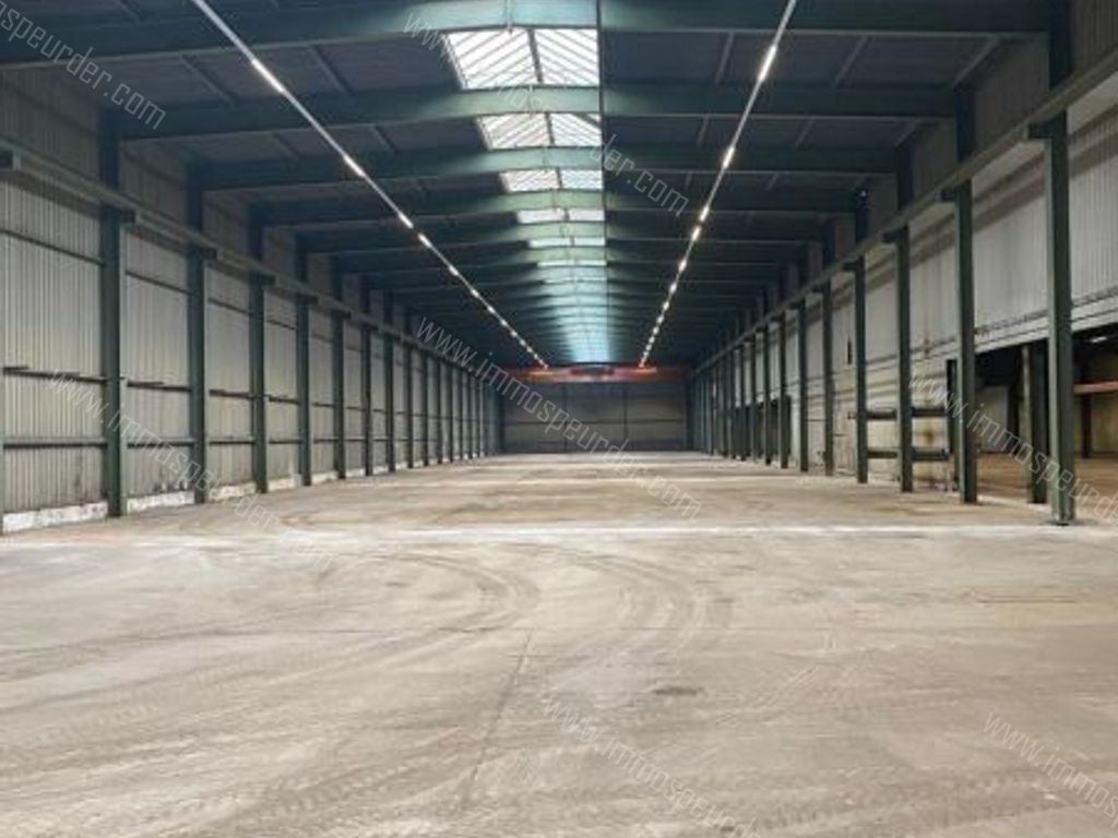 Industrieel in Willebroek - 215081 - Koningin Astridlaan 10, 2830 Willebroek