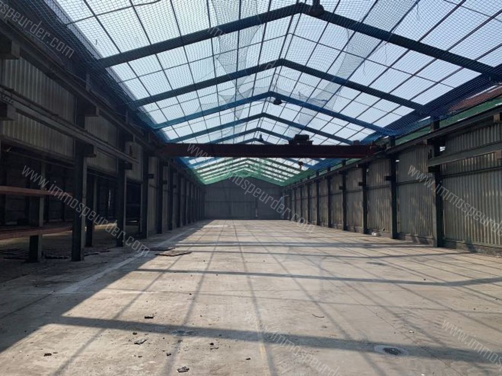 Industrieel in Willebroek - 215081 - Koningin Astridlaan 10, 2830 Willebroek