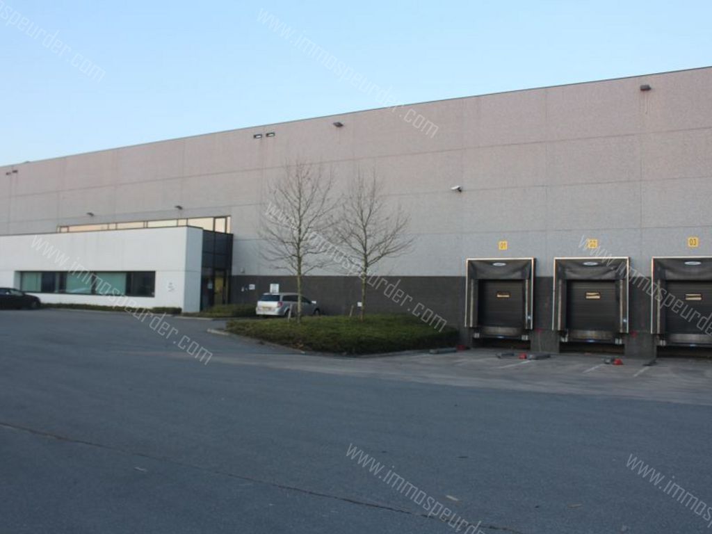 Kantoor in Willebroek - 57494 - Victor Dumonlaan 30, 2830 Willebroek