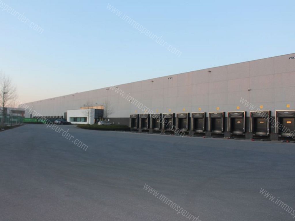 Kantoor in Willebroek - 57494 - Victor Dumonlaan 30, 2830 Willebroek