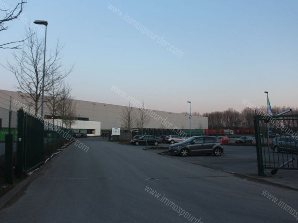 Kantoor in Willebroek - 57494 - Victor Dumonlaan 30, 2830 Willebroek