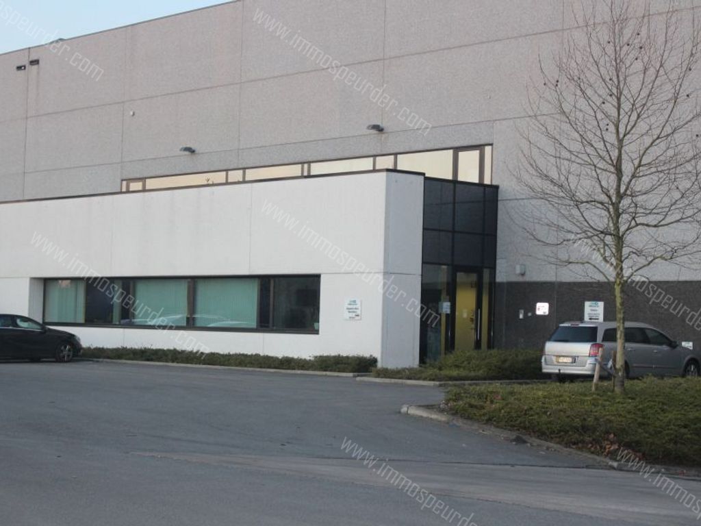 Kantoor in Willebroek - 57494 - Victor Dumonlaan 30, 2830 Willebroek