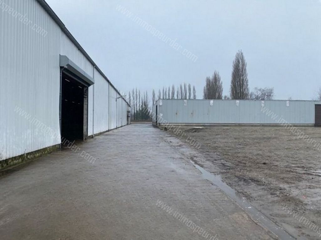 Industrieel in Willebroek - 215081 - Koningin Astridlaan 10, 2830 Willebroek