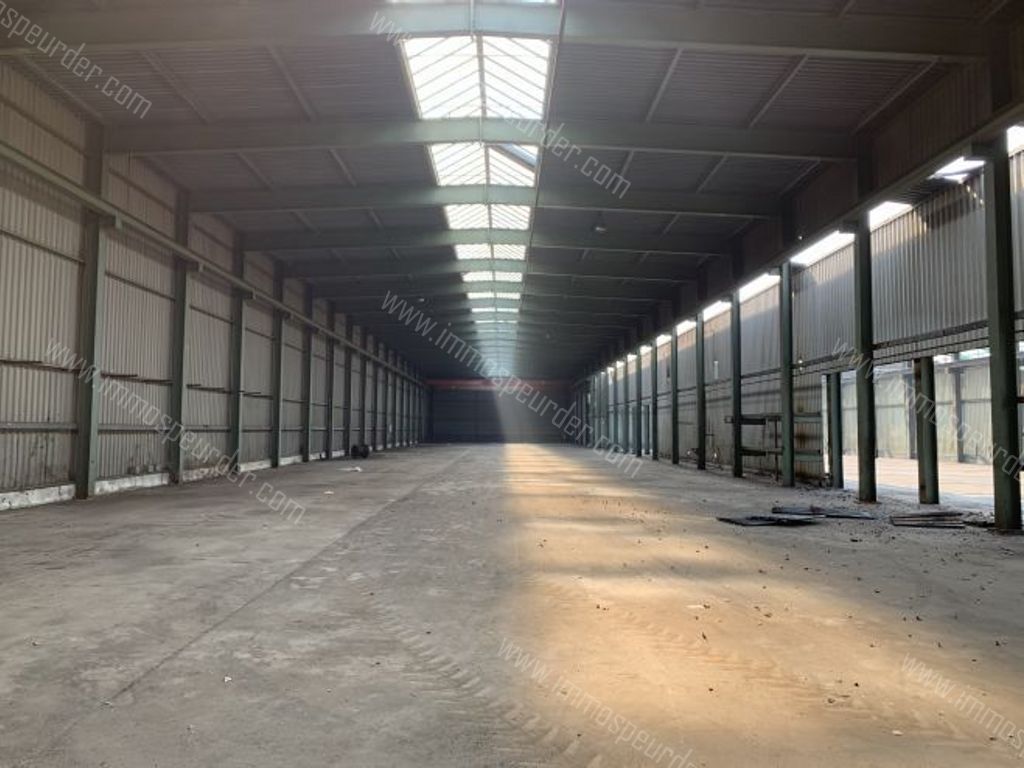 Industrieel in Willebroek - 215081 - Koningin Astridlaan 10, 2830 Willebroek