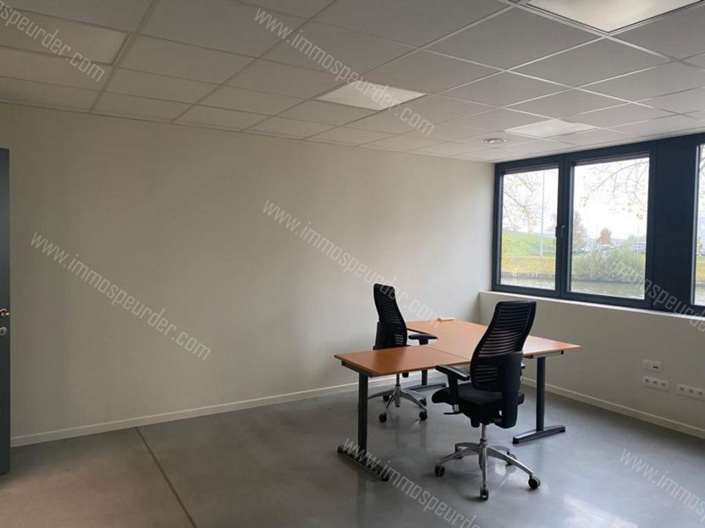 Kantoor in Willebroek - 179372 - Jozef de Blockstraat 71, 2830 Willebroek