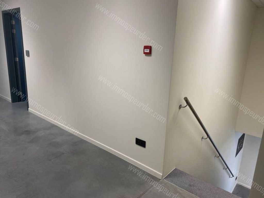 Kantoor in Willebroek - 179372 - Jozef de Blockstraat 71, 2830 Willebroek