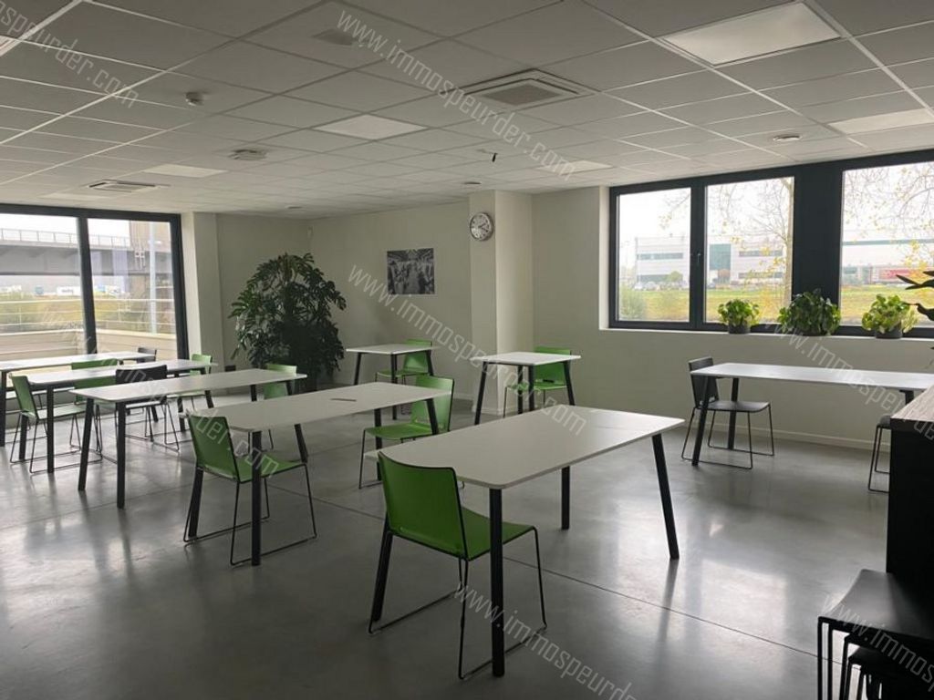 Kantoor in Willebroek - 179372 - Jozef de Blockstraat 71, 2830 Willebroek