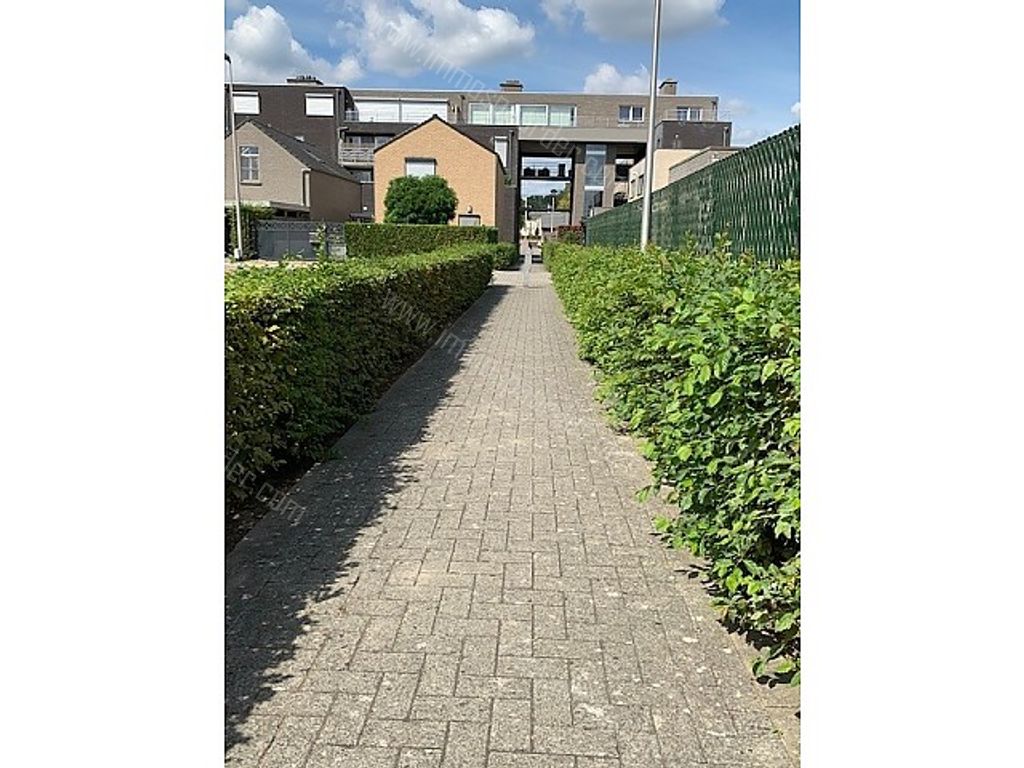 Grond in Dilsen-Stokkem - 967769 - Baron De Rosenweg , 3650 DILSEN-STOKKEM