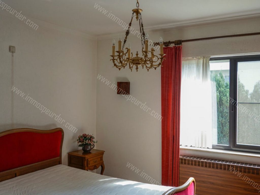 Huis in Dilsen-Stokkem - 574307 - 1 Meilaan 19, 3650 Dilsen-Stokkem